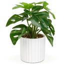 GLOBIZ Plantă artificială decorativă - Filodendron verde - 20 x 8 cm