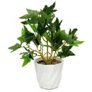 GLOBIZ Plantă artificială decorativă - Iederă - 20 x 9 cm