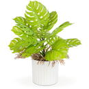 GLOBIZ Plantă artificială decorativă - Monstera - 22 x 8,5 cm