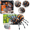 Lean Toys Păianjen Tarantula cu telecomandă, infraroșu, negru, R/C ST