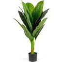 GLOBIZ Plantă decorativă artificială colocasia – 100 cm, verde