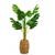 GLOBIZ Plantă decorativă artificială filodendron – 100 cm, verde