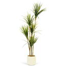 GLOBIZ Plantă decorativă artificială palmier – 1,5 m, verde