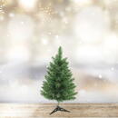 Brad artificial – 60 cm – Nordmann – PVC – verde închis