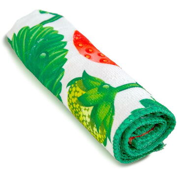 Family Lavetă din microfibră – 40 x 60 cm – modele diverse