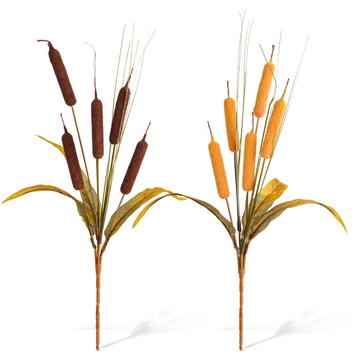 GLOBIZ Decorațiune de toamnă – papură decorativă – 40 cm – 2 modele