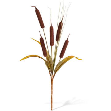 GLOBIZ Decorațiune de toamnă – papură decorativă – 40 cm – 2 modele