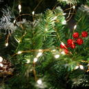 GLOBIZ Fâșie luminoasă tip ghirlandă – 100 microLED-uri – lumină alb cald – 10 m – pe baterii AA