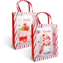 GLOBIZ Pungă decorativă pentru cadouri – 32 x 25 x 11 cm – 2 modele – material plastic