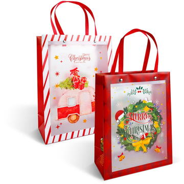 GLOBIZ Pungă decorativă pentru cadouri – 24 x 19,5 x 9,5 cm – 2 modele – material plastic