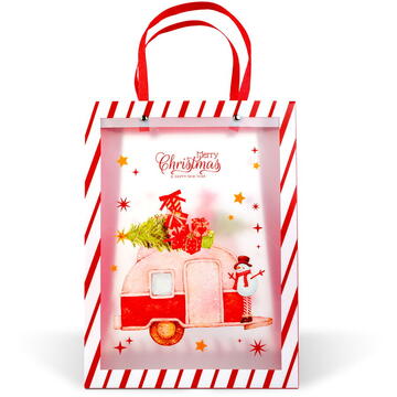 GLOBIZ Pungă decorativă pentru cadouri – 24 x 19,5 x 9,5 cm – 2 modele – material plastic