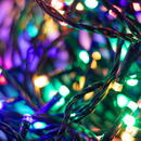 Somogyi Ghirlande luminoase cu LED-uri, 240 LED-uri, 8 perechi, temporizator, colorate, pentru exterior
