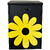Cutie postala Vivatechnix Flower KRO-1229, otel, 400x250x100mm, Negru/Galben, 2 chei