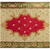 RPX-PAN PANOURI DECORATIVE 68X75CM/5MM - XY-H102, 2/SET