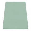 Heinner CEARCEAF PAT CU ELASTIC 160X200 CM VERDE
