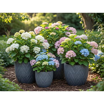 RPX-GHI SET GHIVECE EXTERIOR - SOLARA, 4P.