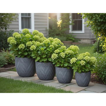 RPX-GHI SET GHIVECE EXTERIOR - SOLARA, 4P.