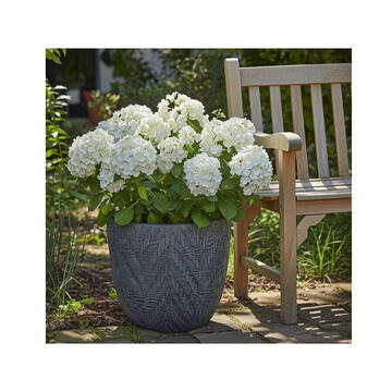 RPX-GHI SET GHIVECE EXTERIOR - SOLARA, 4P.