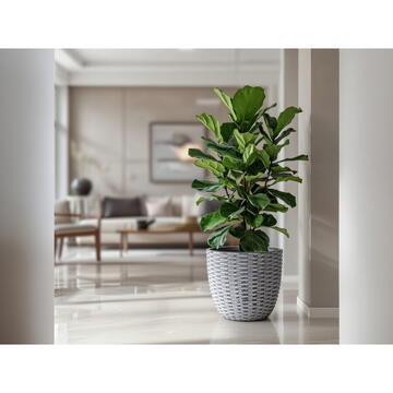 RPX-GHI SET GHIVECE EXTERIOR - EVORA, 3P.