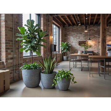 RPX-GHI SET GHIVECE EXTERIOR - ISLA, 3P.