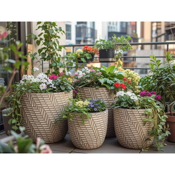 RPX-GHI SET GHIVECE EXTERIOR - ARWEN, 4P.