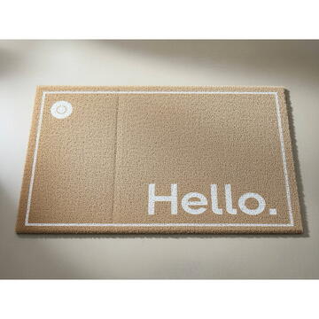 RPX-COV COVORAS INTRARE TIP-LUFA - 40X60CM / HELLO