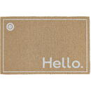 RPX-COV COVORAS INTRARE TIP-LUFA - 40X60CM / HELLO